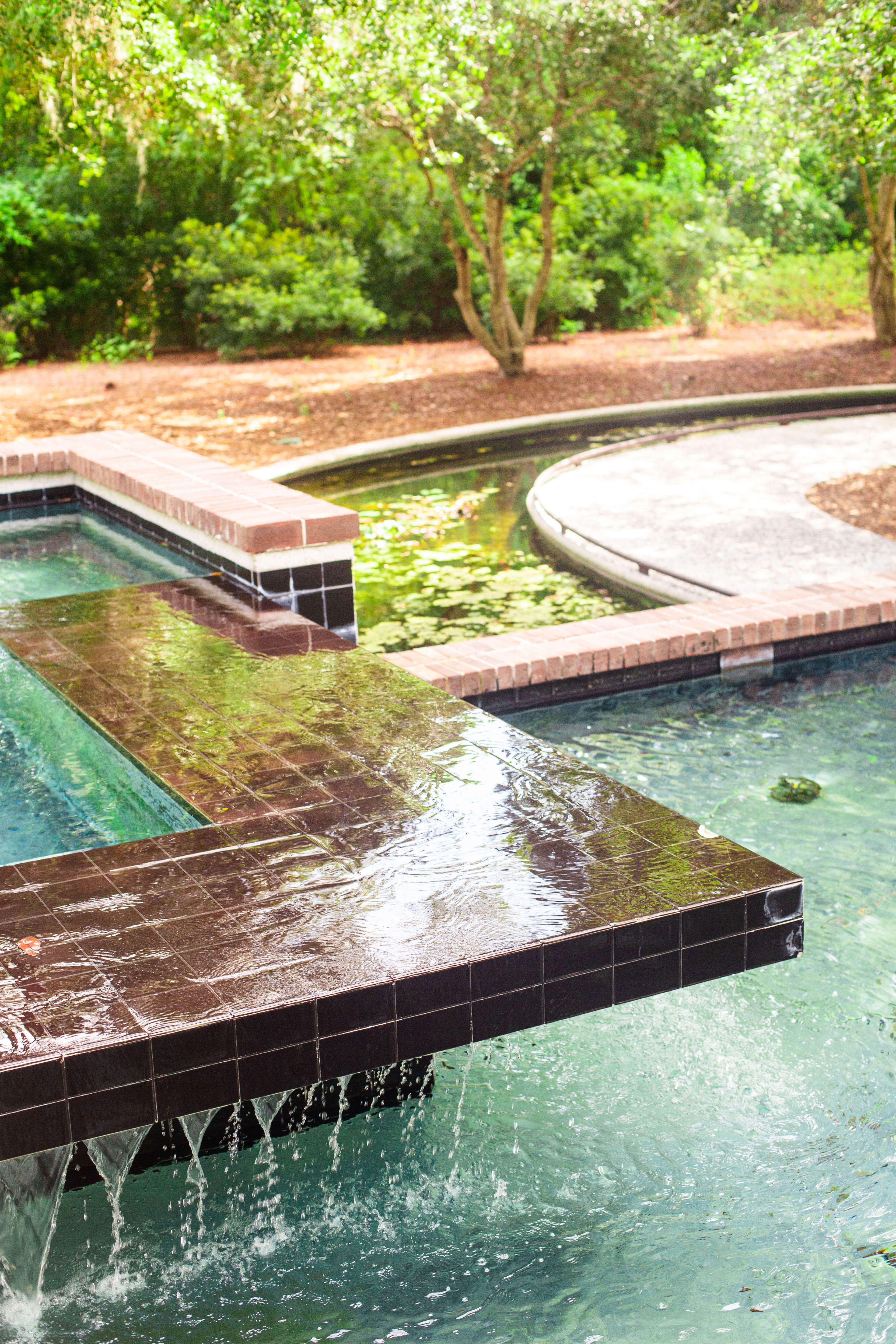 Compass Rose Park: Hilton Head's Hidden Relaxation Gem